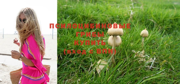 тгк Кодинск
