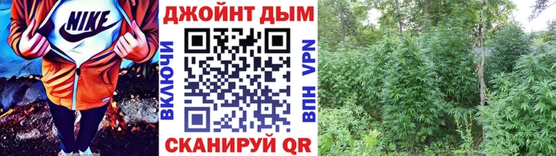 Купить  Холм  Каннабис OG Kush 
